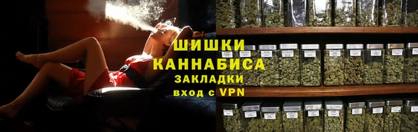 шишки Беломорск