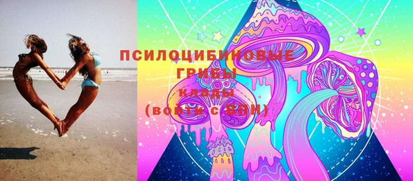 таблы Богданович