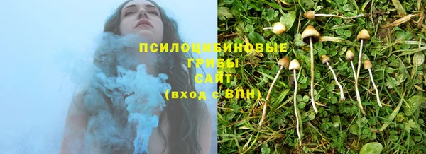 бошки Белоозёрский
