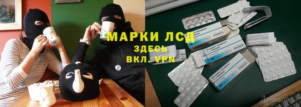 шишки Беломорск