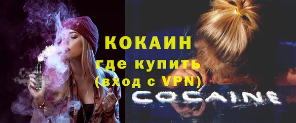 шишки Беломорск