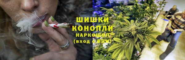 шишки Беломорск