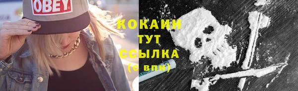 дмт Богородицк
