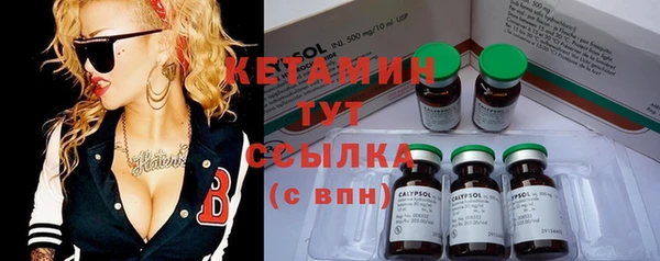 шишки Беломорск
